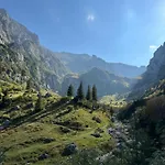 Epic Brasov, Cristian Brasov