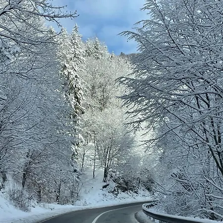 Вилла Epic Brasov, Cristian