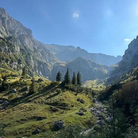 Epic Brasov, Cristian Brasov