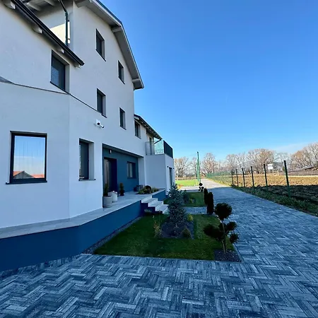 Epic Brasov, Cristian Brasov