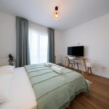 Epic Brasov, Cristian Brasov