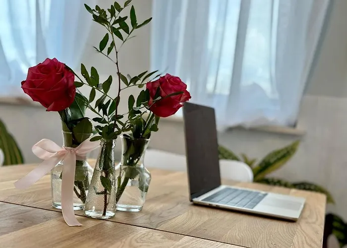 Villa Epic Brasov, Cristian Brasov