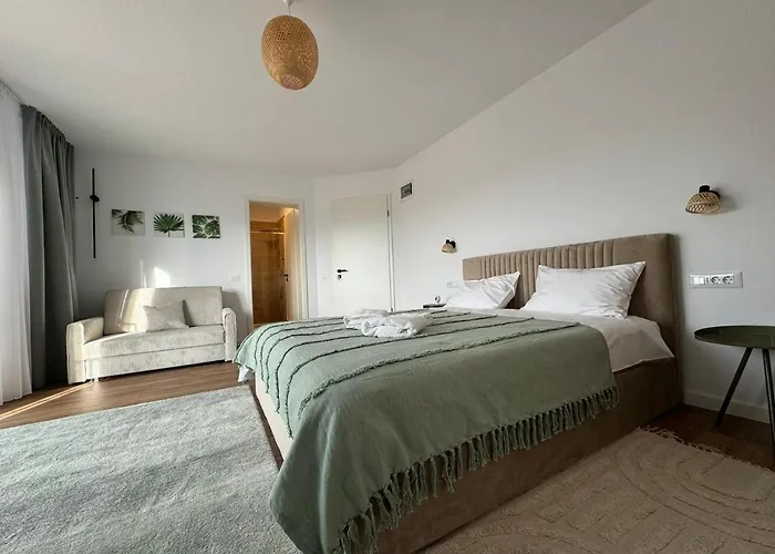 Epic Brasov, Cristian Brasov