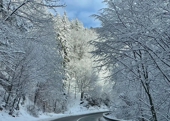 Villa Epic Brasov, Cristian