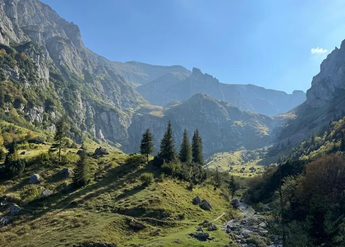 Epic Brasov, Cristian Brasov