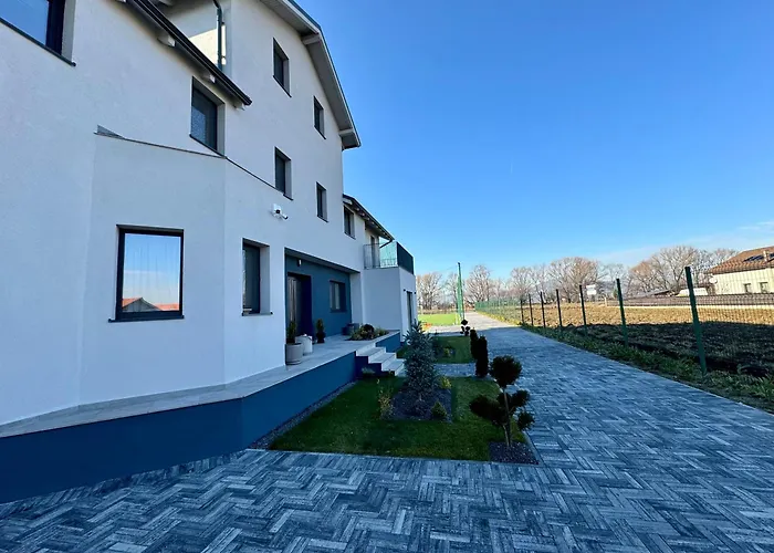 Epic Brasov, Cristian Brasov